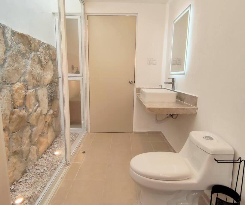 Casa Colibri Con Alberca En El Centro Διαμέρισμα Mérida Εξωτερικό φωτογραφία